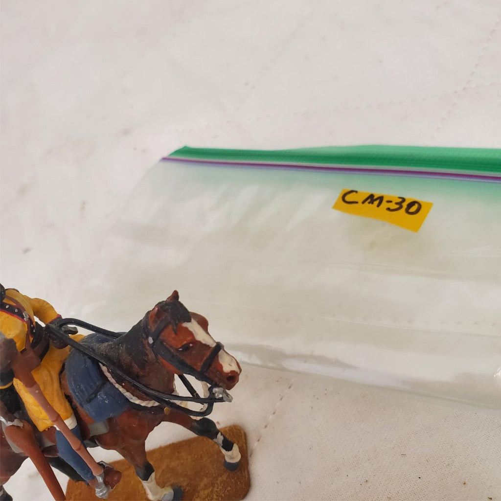 Metal Hand Painted 54mm SOE002 Skinner's Horse Lancer CM-30