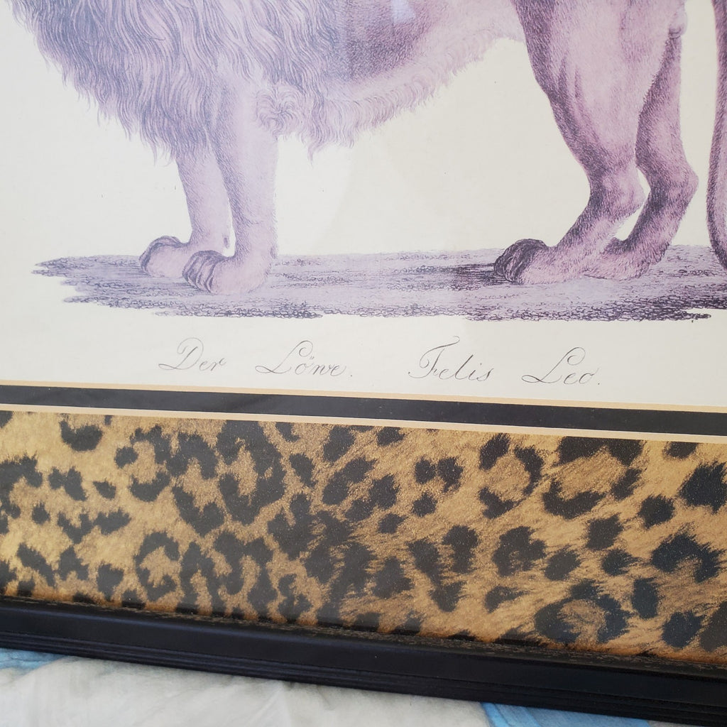 Safari Jungle Decor Print Der Lone Felis Leo Matted Framed Lion Print