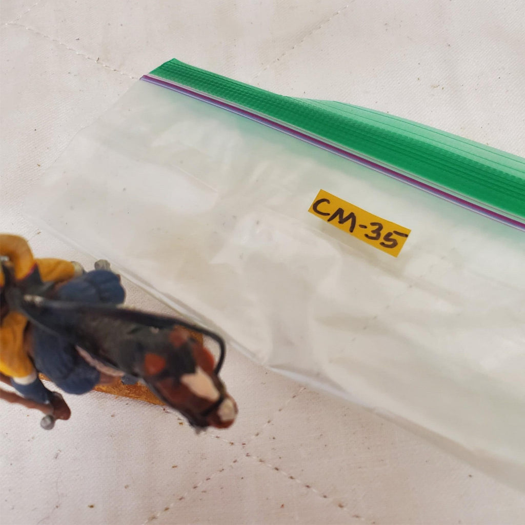 Metal Hand Painted 54mm SOE002 Skinner's Horse Lancer CM-35