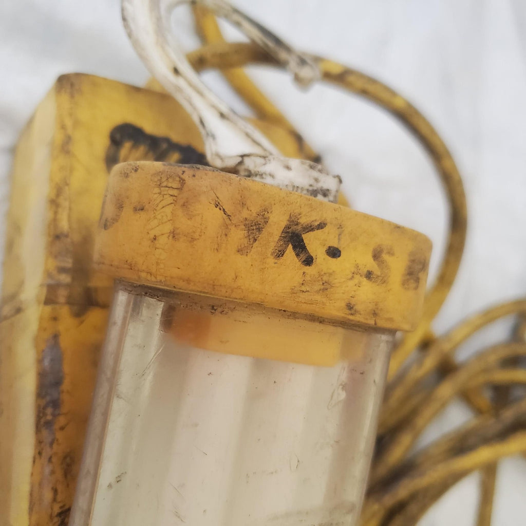 Vintage Fluorescent Hand Lamp Fluorescent Light