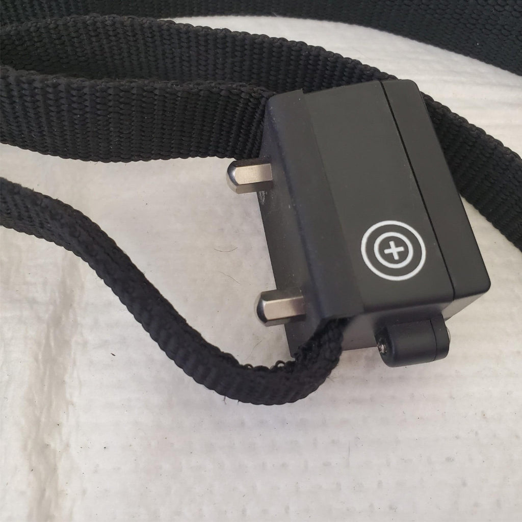 PetSafe PEL100 Electronic Leash Lead Pet Training System