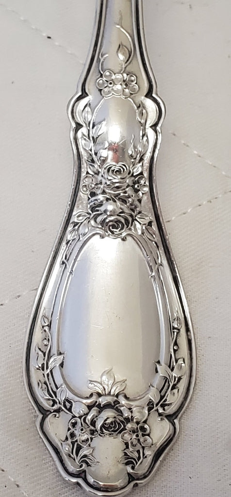 Rogers Bros Vintage 1847  XS Triple Silver Plate Serving Gravy Ladle