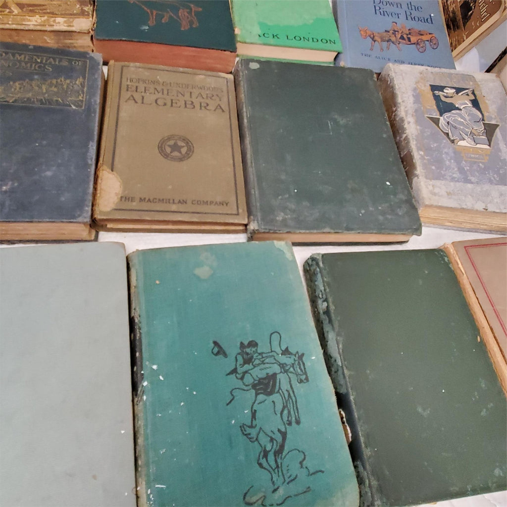 Maury’s Manual of Geography and Lot of Old Books