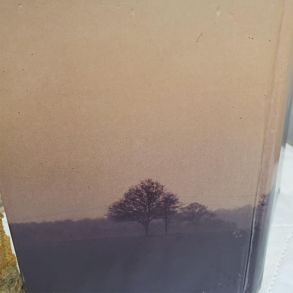 David Winter Cotswold Village 1982 with "The Collectors' Book"