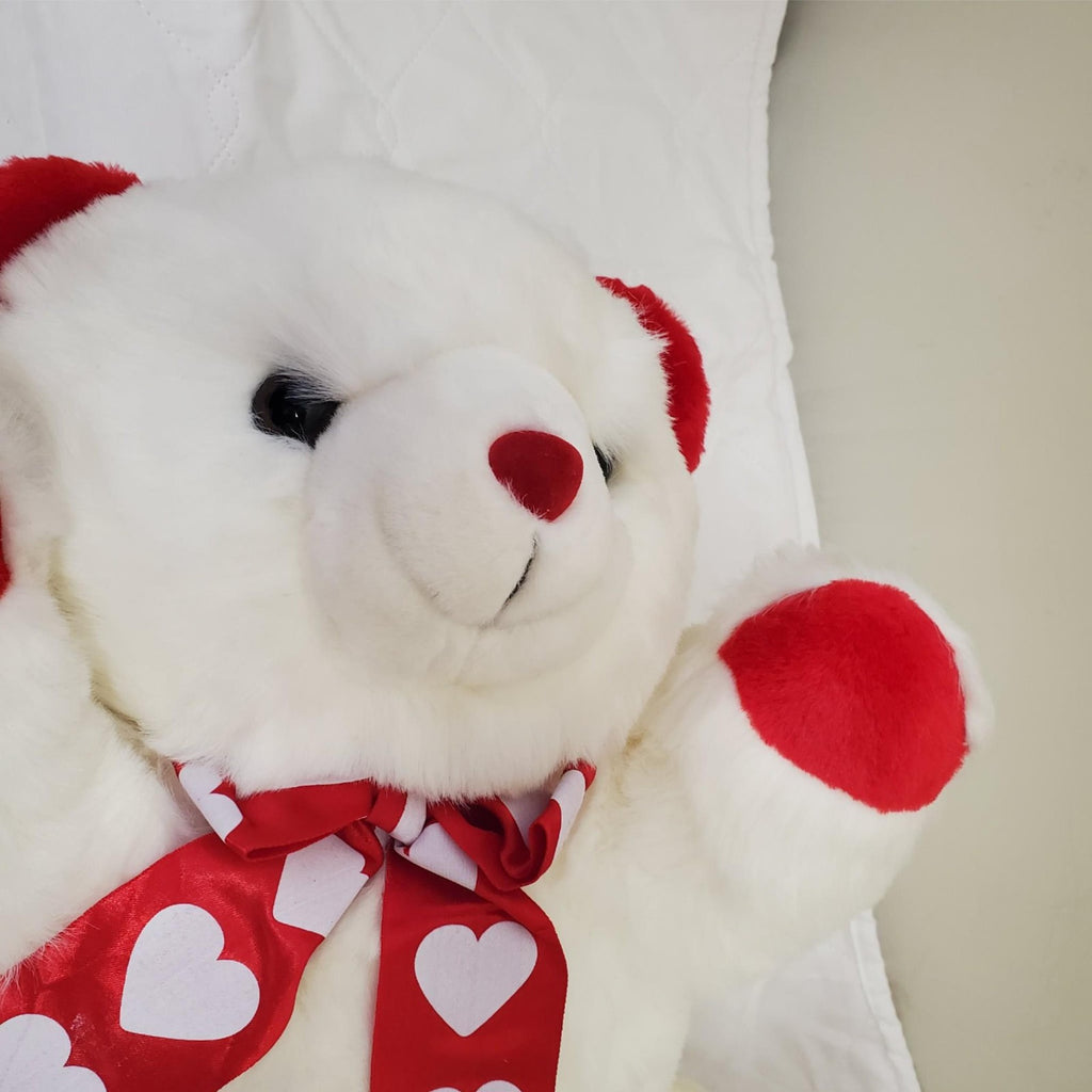Set of 2 Vintage Plush Valentine’s Stuffed Bear Toy