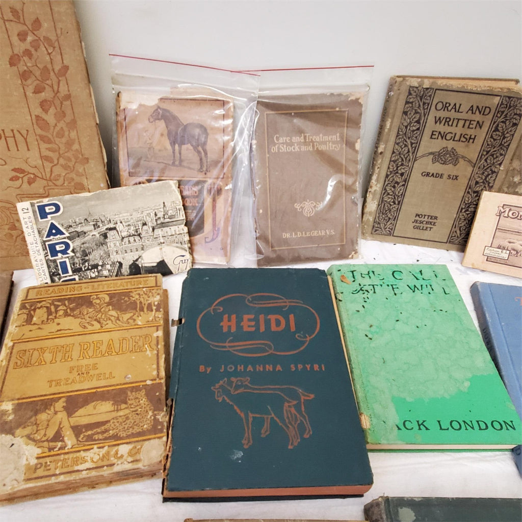 Maury’s Manual of Geography and Lot of Old Books