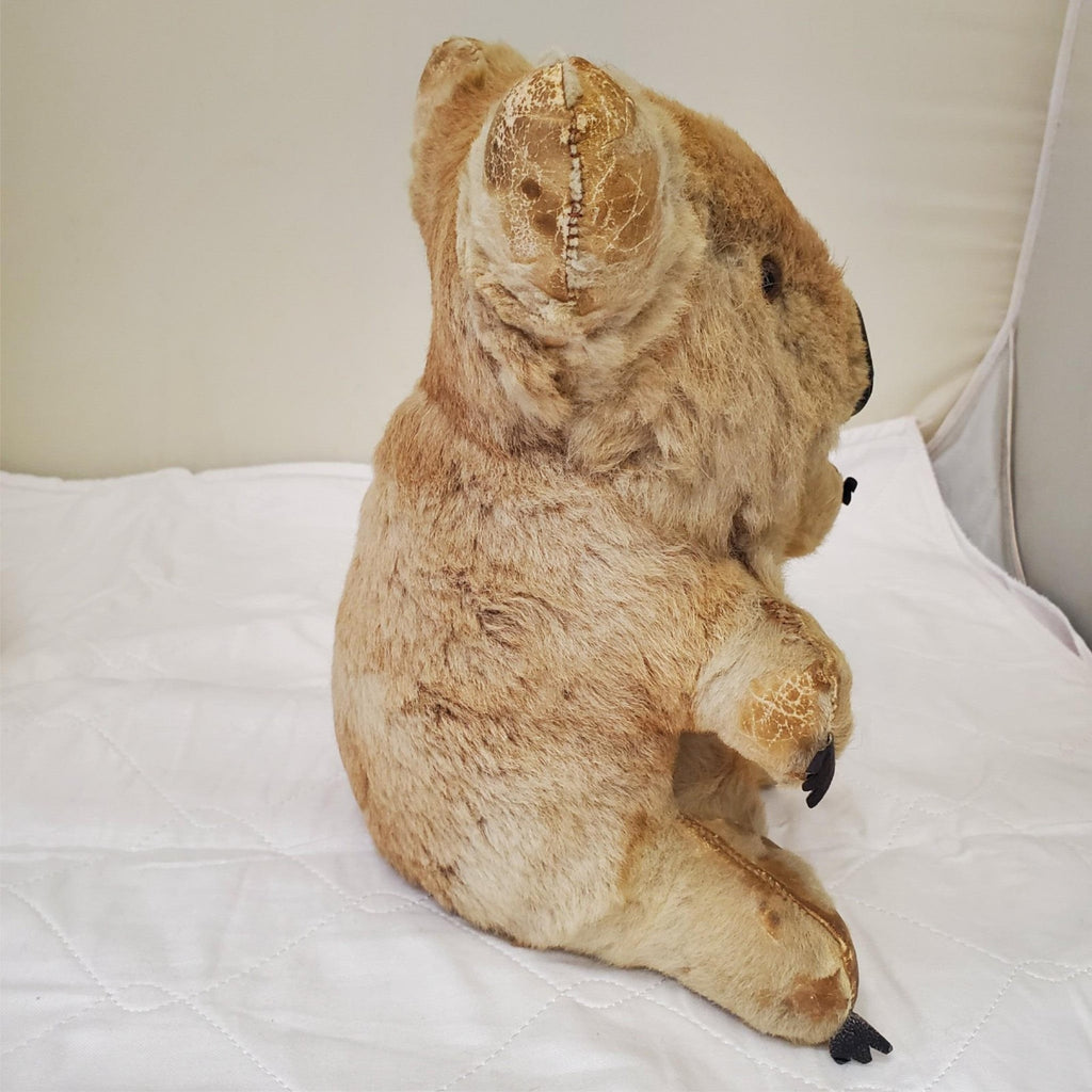 Realistic Plush Koala Bear Life-like Fur