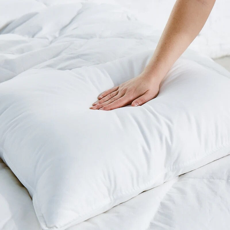 Avocado Down Bed Pillow Multi Sizes and Feel Levels